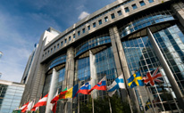 International Admissions