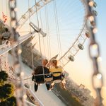 thomas-bassett_swing