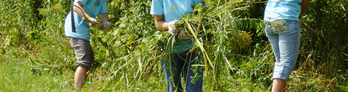 Students in grass