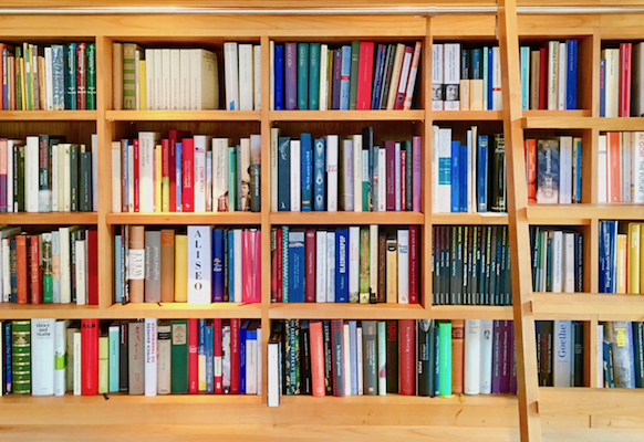 Book shelves indoor