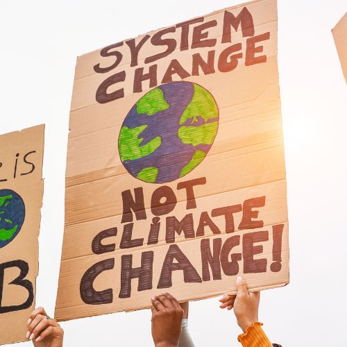 Protestor holding sign reading "System Change Not Climate Change"