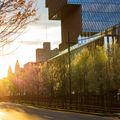 Sunset on Comm Ave with the CDS building in background