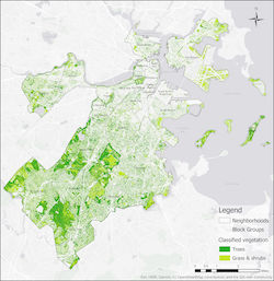 This map shows vegetation cover in Boston. Vegetation cover was derived using machine learning and multispectral data of the 2016 National Agricultural Imagery Program (NAIP) at 1m resolution.
