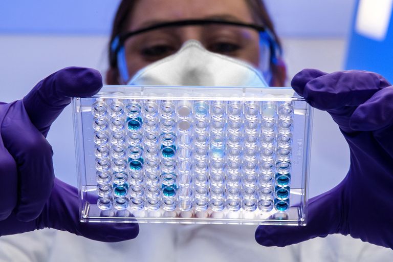 A Centers for Disease Control and Prevention (CDC) scientist reviews a plate with serological test samples.