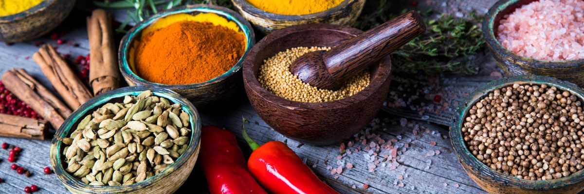 Gastronomy Food Studies Courses