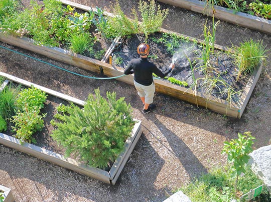 Cities Should Prioritize Greenways, Says Urban Agriculture Lecturer