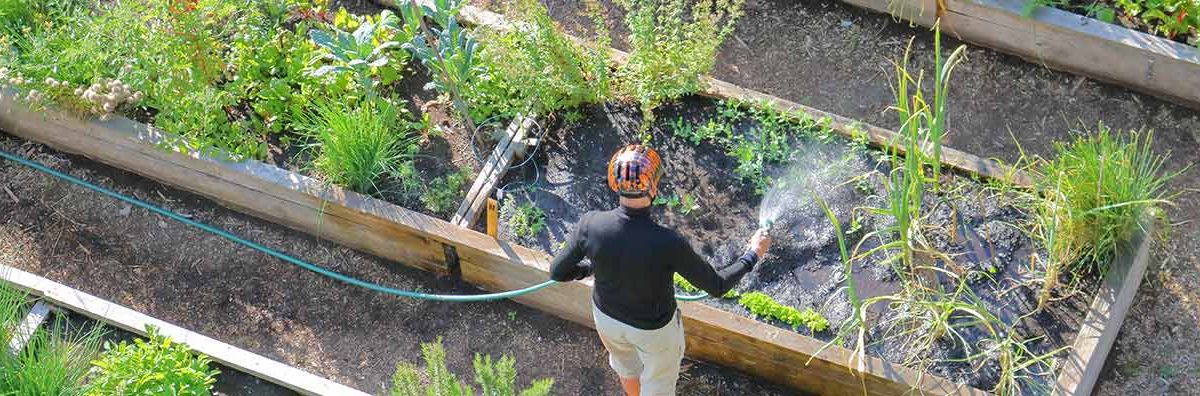 Cities Should Prioritize Greenways, Says Urban Agriculture Lecturer