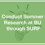 Conduct summer research with SURF