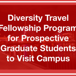 Diversity Travel Fellowship Program