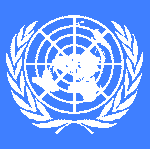Prof. Adil Najam speaks at the United Nations