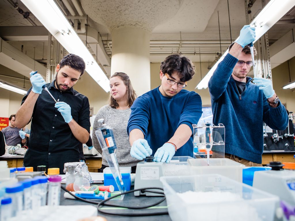 Students in lab