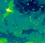 thermal_ima