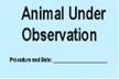 Animal Under Observation Card (blue)