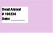 Dead Animal Card (purple)
