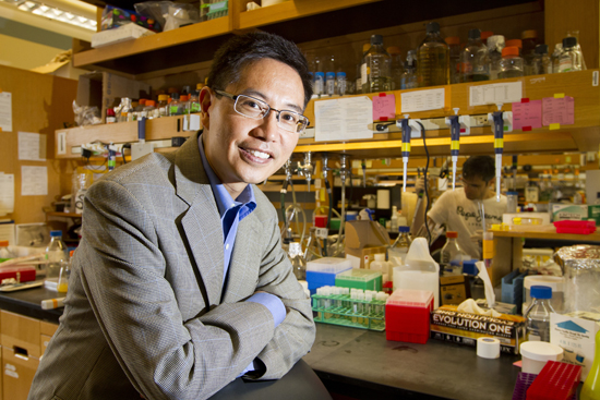 Chris Chen