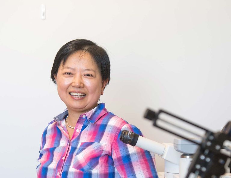 Xin Zhang portrait