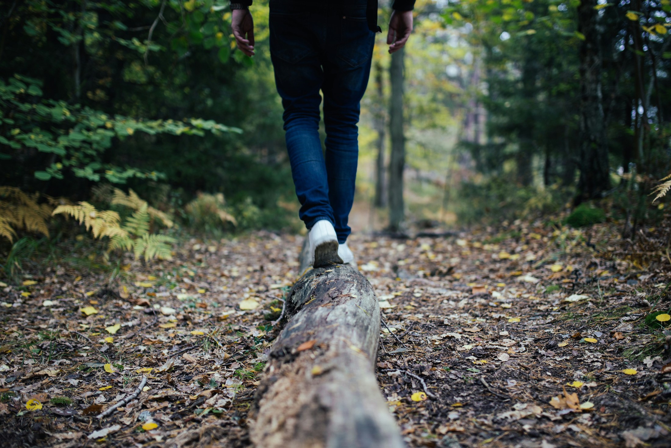 Person walking in woods