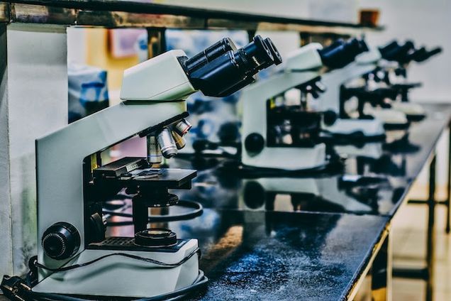 Several microscopes lined up on a counter