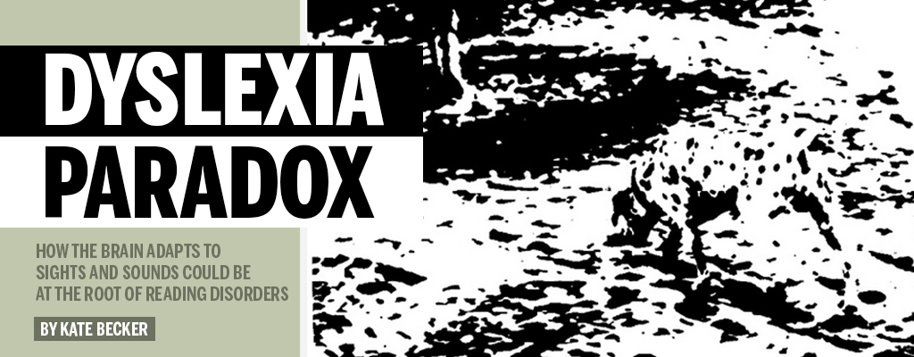 DyslexiaParadoxBanner