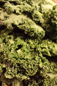 kale-198x300