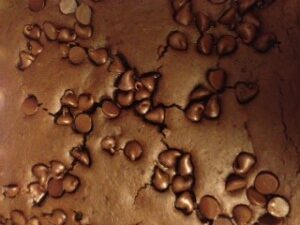 To show the brownies once baked. The brownies are have a soft texture to it and had chocolate chip layered on it's surface.