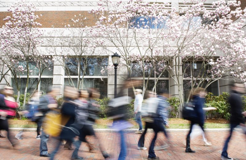 Flowers bloom outside of Questrom