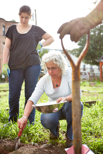 urban garden soil testing