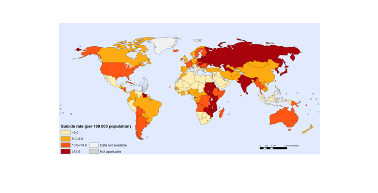 Figure 2. Age-standardized suicide rates per 100,000 population, 2012. Mental Health: Suicide data. World Health Organization. Accessed January 15, 2016. http://www.who.int/mental_health/prevention/suicide/suicideprevent/en/