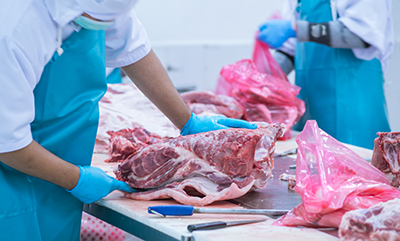 slaughterhouse workers