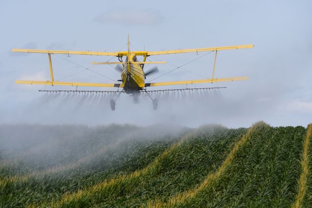 A Potential Turning Point for the Environment