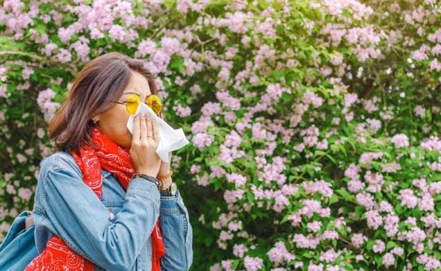 Allergy Season Is Getting Longer—Blame Climate Change