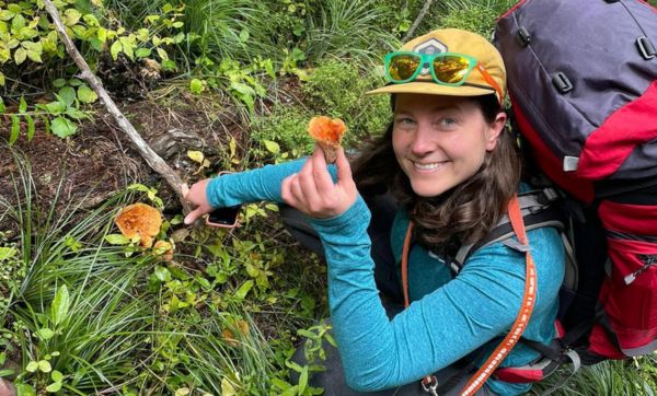 Beth Haley forages for mushrooms.