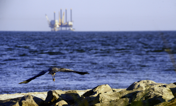 A crane takes flight in Mobile, Alabama. On the horizon is one of many oil rigs in the Gulf of Mexico.