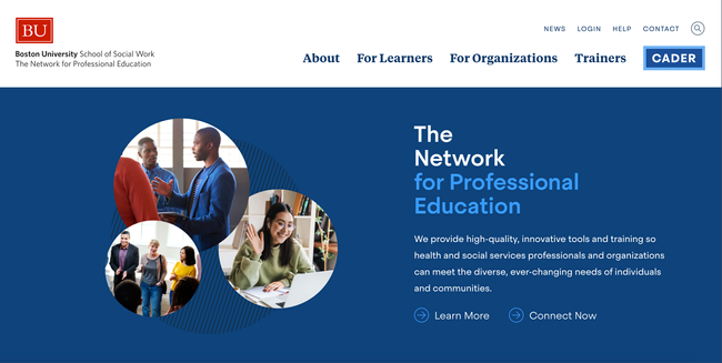 The Network for Professional Education homepage screennshot