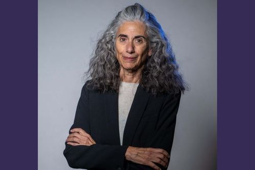 WordPress Judith Gonyea BU Today