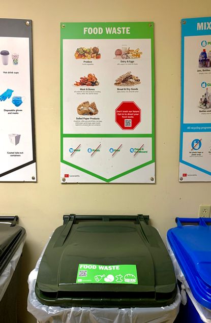 Food Waste Bin in Large Residence