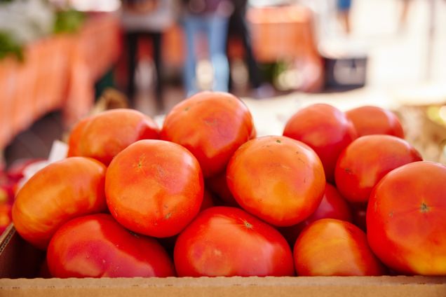 Tomatoes