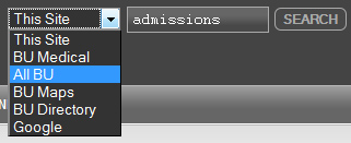 WordPress Search Bar