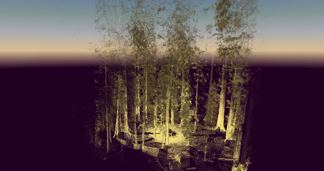 five-new