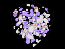 Lattice QCD 09