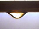 droplet