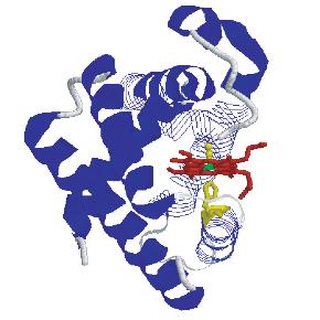 fig5