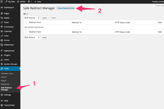 Safe_Redirect_Manager_‹_WPMU_—_WordPress