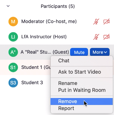 Screenshot of removing a participant within a meeting