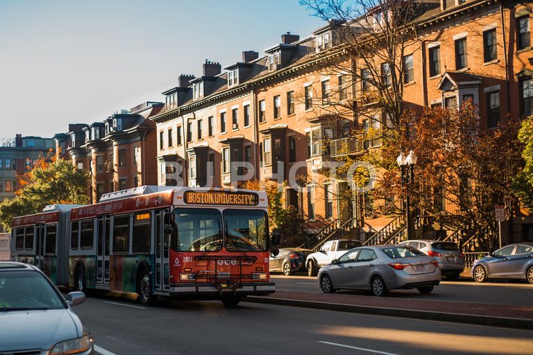 BU Bus on street