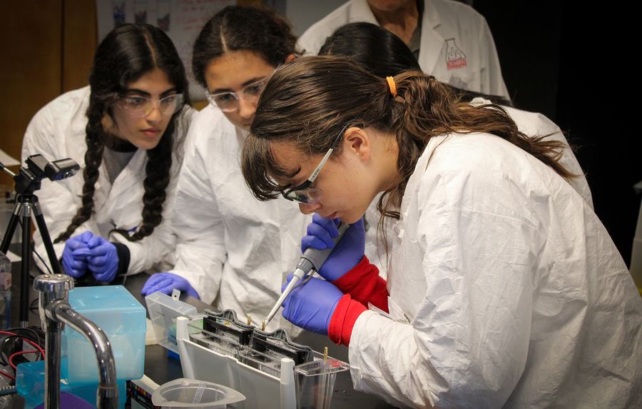Students in lab coats look through a microscope