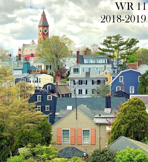 WR journal issue 11 cover image