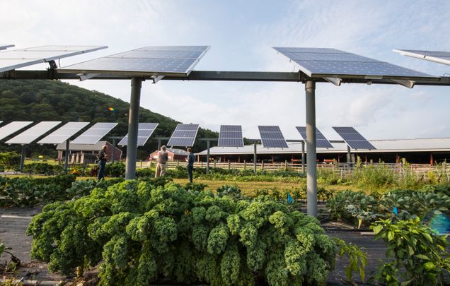 solar panels