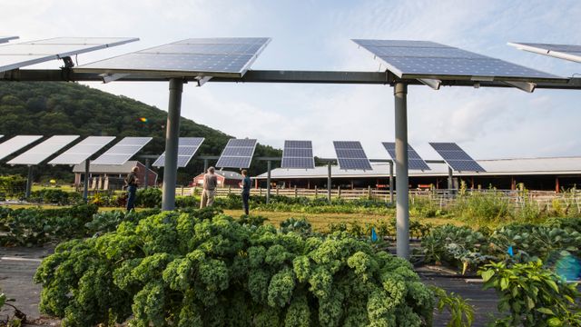 solar panels