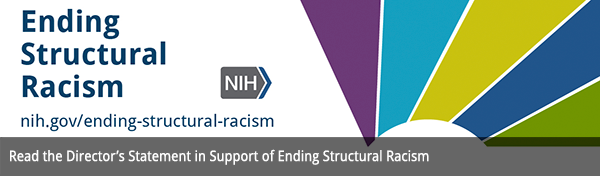 Read the Director’s Statement in Support of Ending Structural Racism